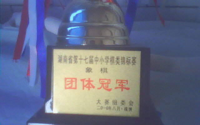 团体冠军